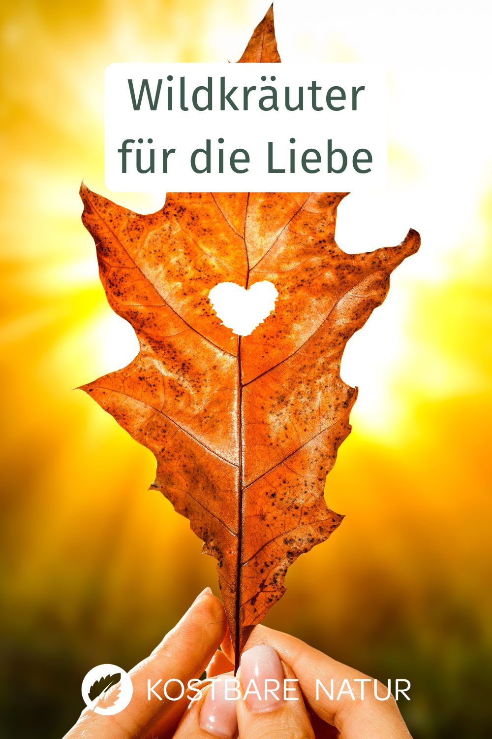 Für ein erfülltes Liebesleben bedarf es selten Medikamente. Die sanfte Medizin der Natur kann Mann und Frau gute Dienste erweisen - diese 4 Kräuter helfen