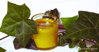 Mit Efeu lassen sich leicht selbstgemachte Pflegeprodukte für eine straffe Haut herstellen. Dieses Rezept für Efeu-Salbe ist einfach, preiswert und wirkt!