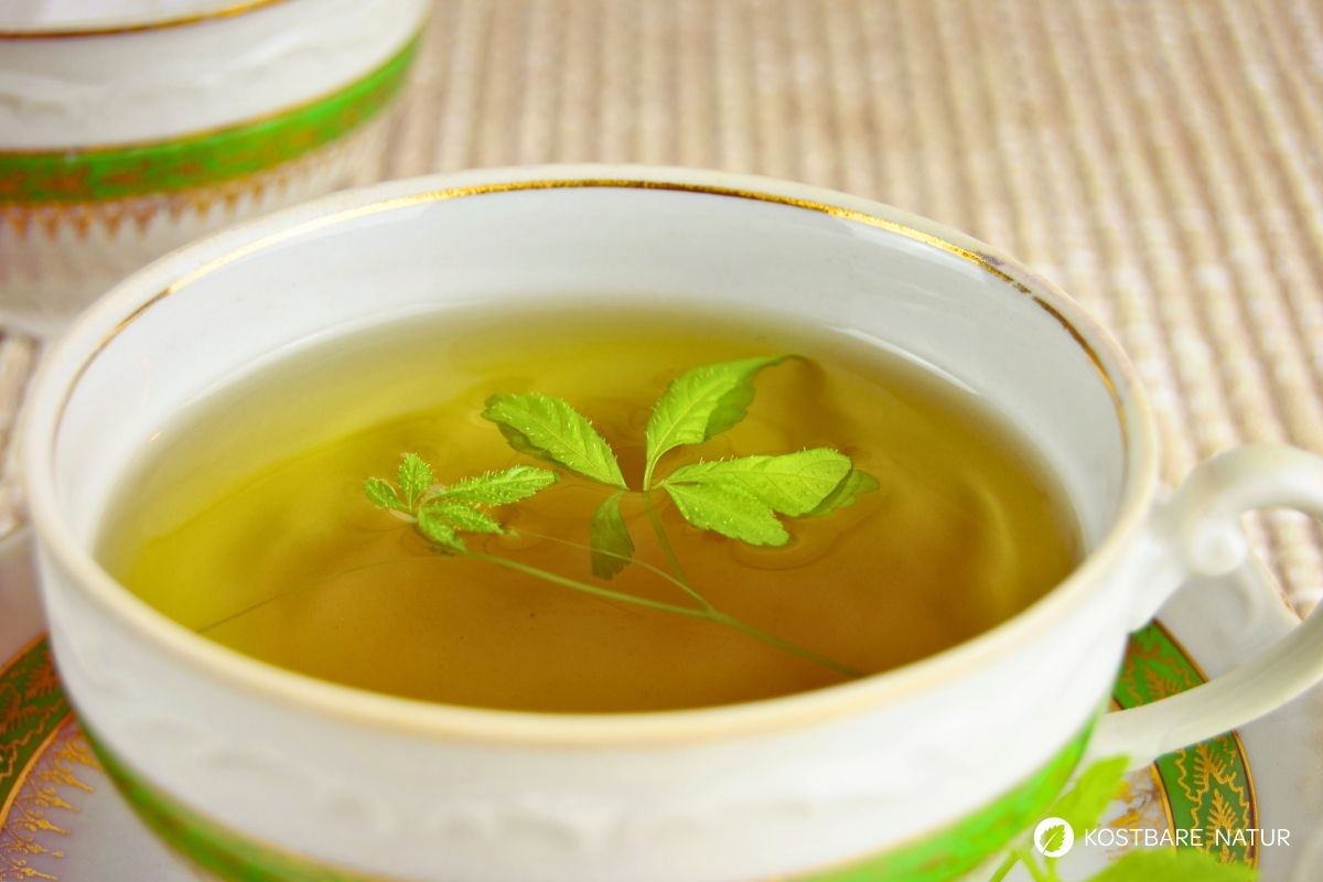 Jiaogulantee in Tasse