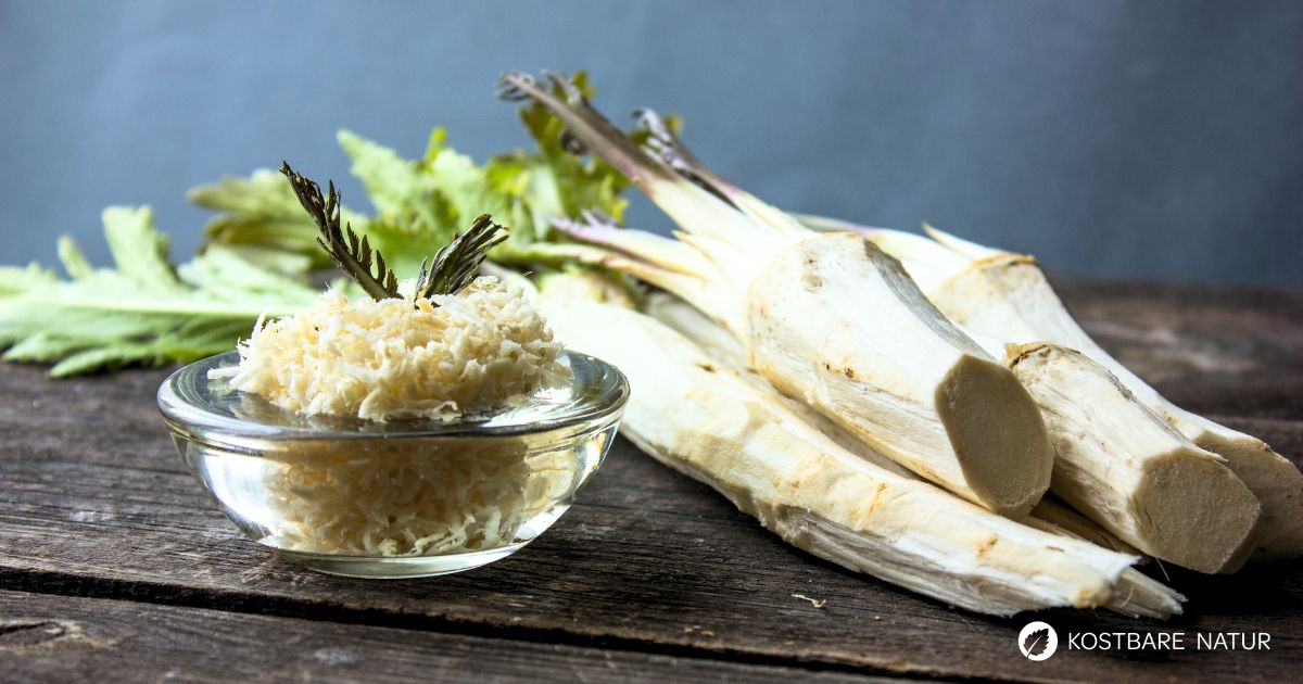 Meerrettich besitzt starke antibakterielle, schleimlösende und durchblutungsfördernde Eigenschaften.