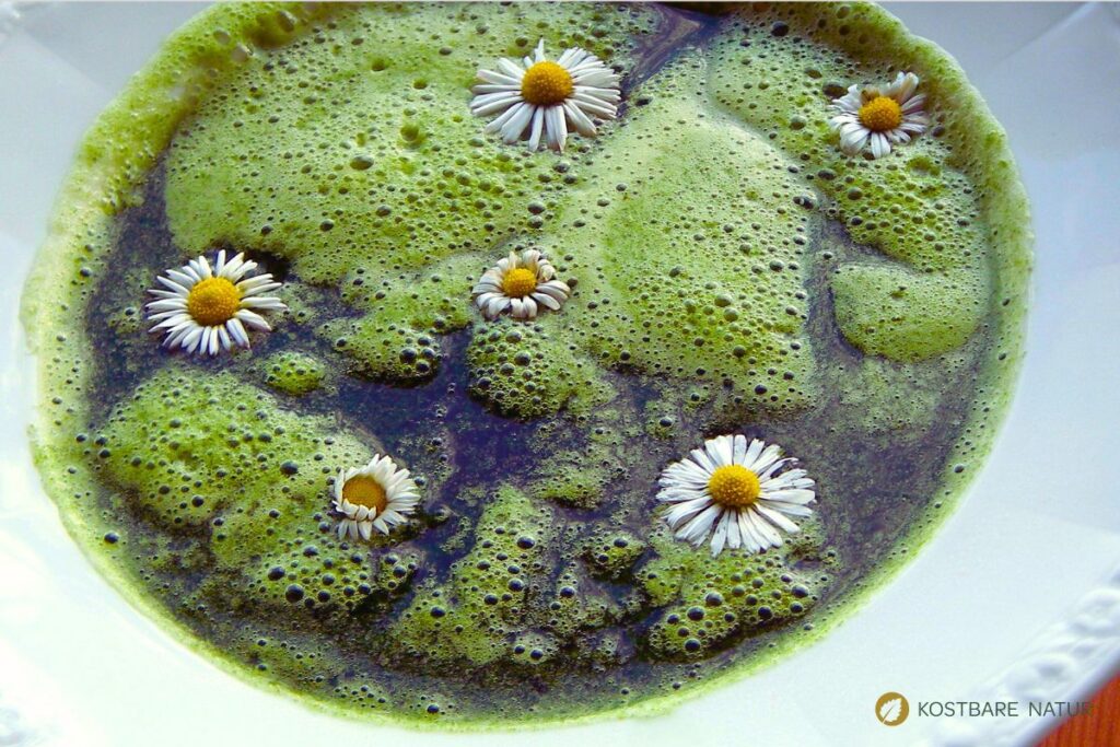 Gründonnerstagssuppe auf Teller