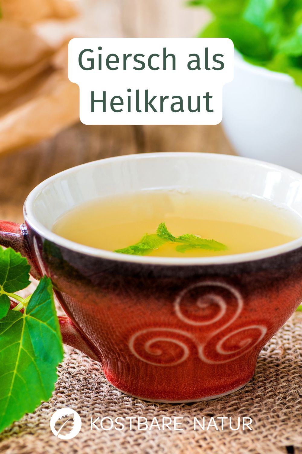 Meist wird Giersch nur als Unkraut gesehen, das sich im Garten vermehrt. Doch statt Giersch zu jäten, nutze Giersch als Heilkraut.