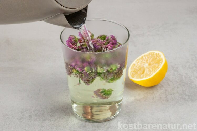 Rotklee-Limonade zubereiten Mit den rosa Blüten des Rotklees lässt sich im Handumdrehen eine aufregende Limonade mit Farbwechsel zaubern, die Kinderaugen strahlen lässt!