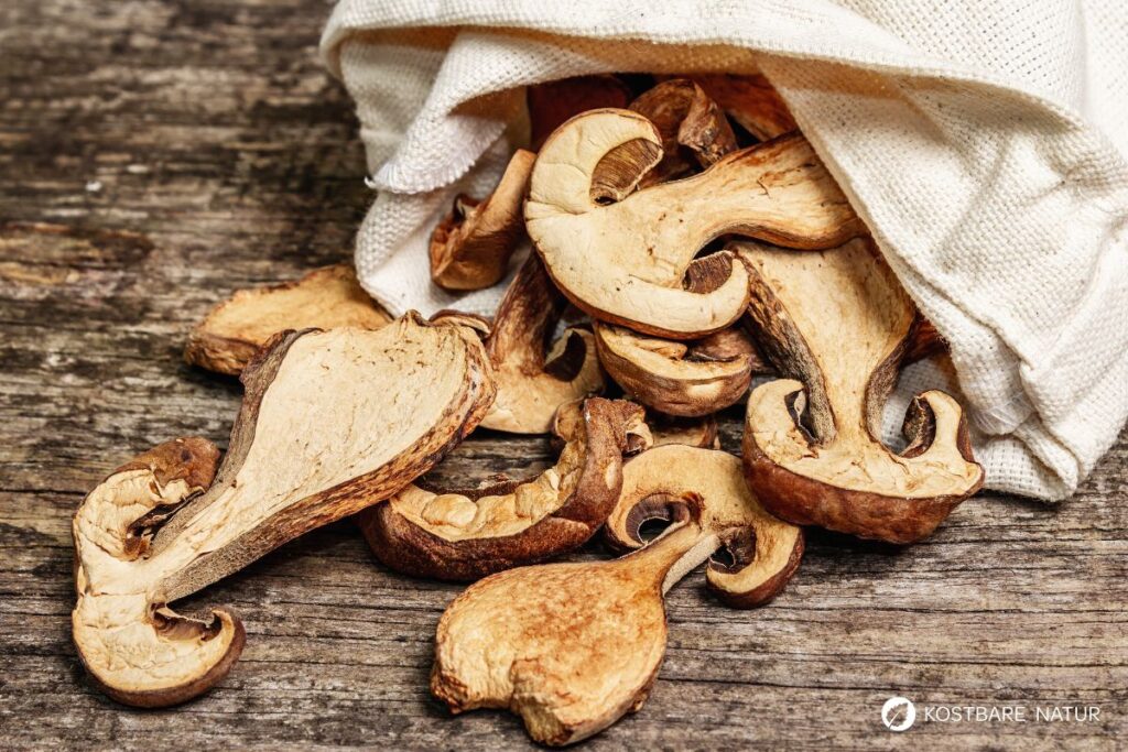 Alles über den Steinpilz: Essbar, heilkräftig, unverwechselbar. Tipps zum Sammeln, Erkennen, Anwenden & leckere Rezepte zum Nachkochen.