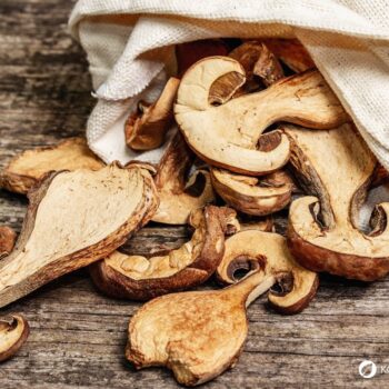 Alles über den Steinpilz: Essbar, heilkräftig, unverwechselbar. Tipps zum Sammeln, Erkennen, Anwenden & leckere Rezepte zum Nachkochen.