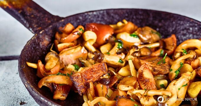 Pilze garen vor dem Verzehr ist äußerst sinnvoll! Denn viele essbare Pilze enthalten giftige Substanzen, die erst durch Erhitzen unschädlich gemacht werden.