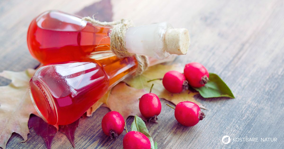 Die heilkräftigen Weißdornbeeren lassen sich im Handumdrehen zu einem beruhigenden und kreislaufstärkenden Weißdorn-Sirup verarbeiten.