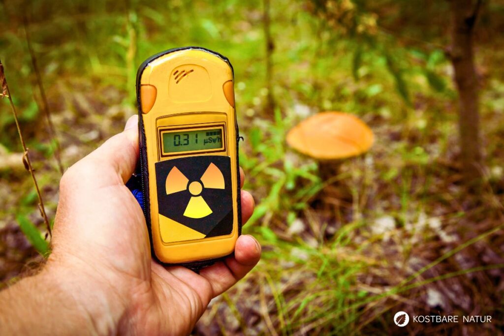 Dosimeter im Wald