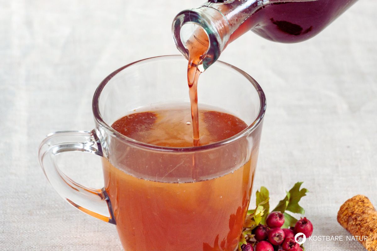 Weißdorn-Sirup herstellen