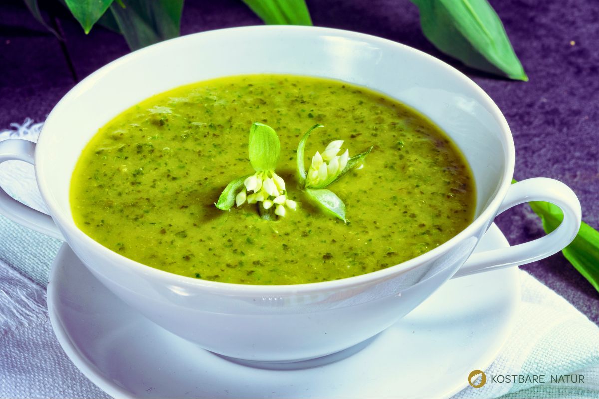 Rezept schnelle Bärlauchsuppe
