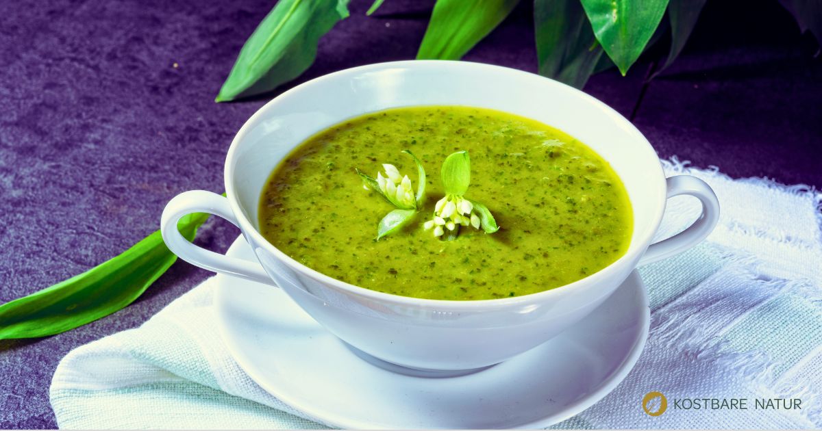 Bärlauchsuppe schützt dich im Frühling vor Erkältungen, versorgt dich mit vielen Vitalstoffen und schmeckt richtig lecker!