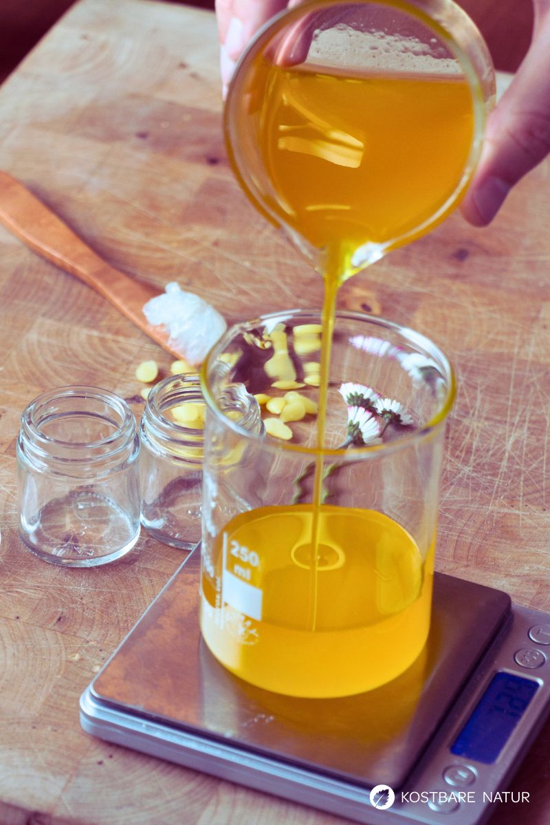 Gänseblümchensalbe