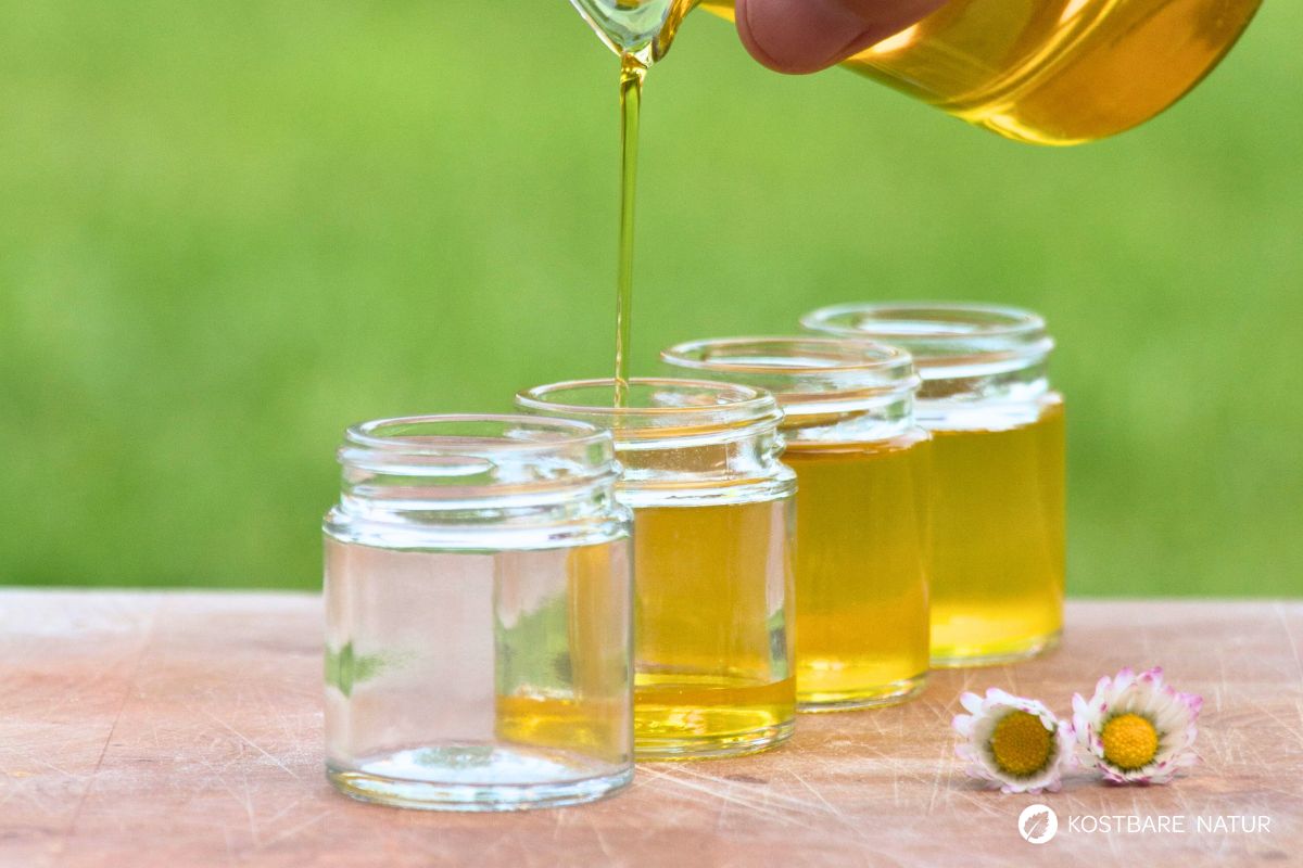 Aus einfachen Zutaten ist die heilende Gänseblümchensalbe ganz schnell hergestellt und erspart dir den Kauf teurer Wund- und Heilsalben.