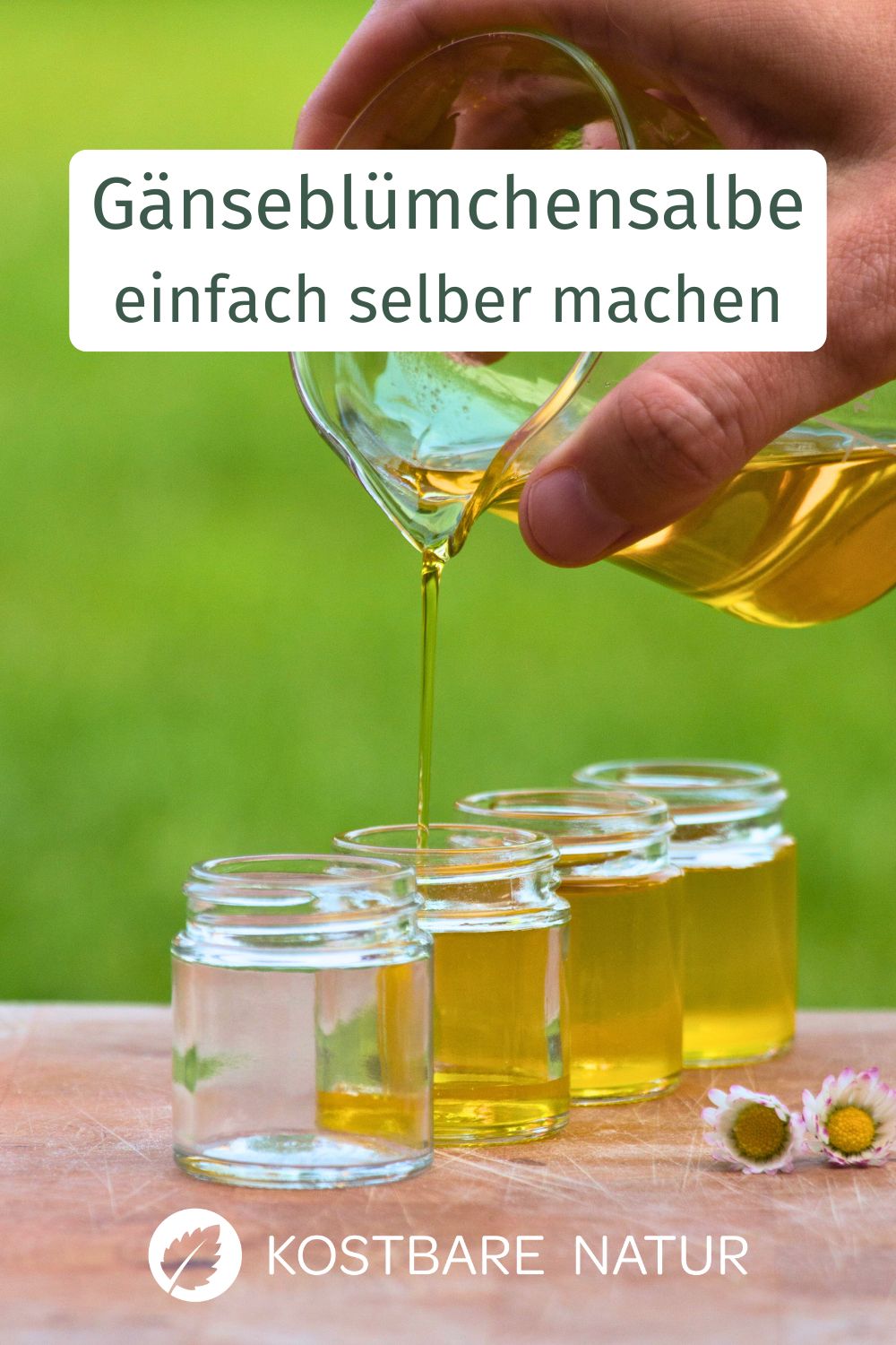 Aus einfachen Zutaten ist die heilende Gänseblümchensalbe ganz schnell hergestellt und erspart dir den Kauf teurer Wund- und Heilsalben.