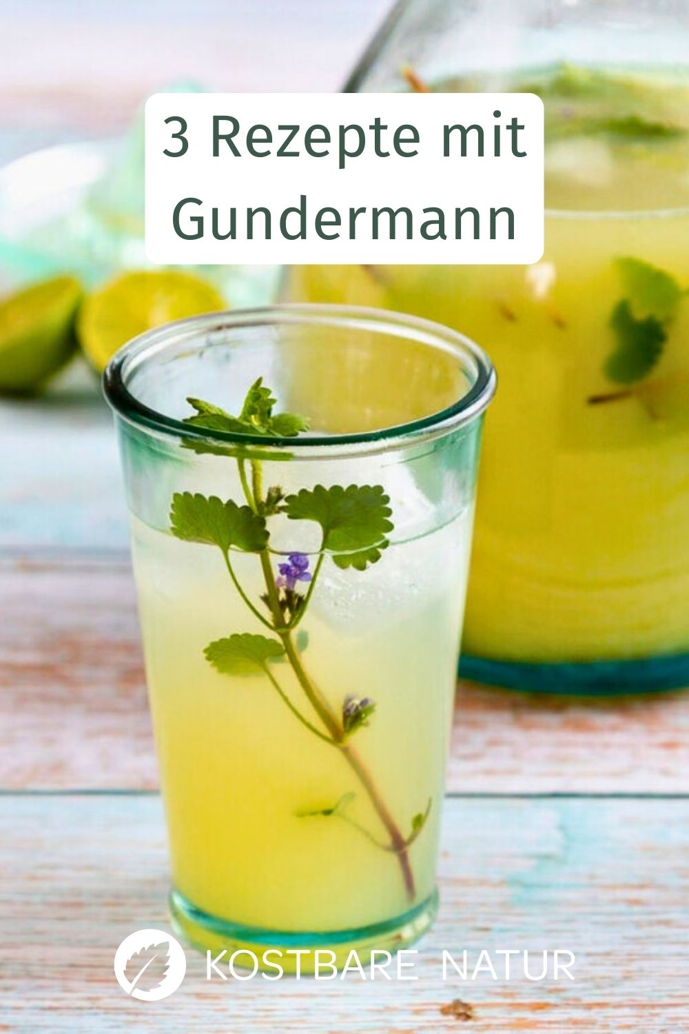 Gundermann ist ein fantastisches Gewürzkraut, nicht nur für herzhafte Gerichte. Mit Schokolade und Früchten zauberst du diese drei Leckereien!
