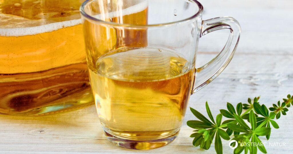 Eine Maibowle mit echtem Waldmeister schmeckt unvergleichlich fein-würzig nach Frühling. Sie ist ganz einfach zuzubereiten!