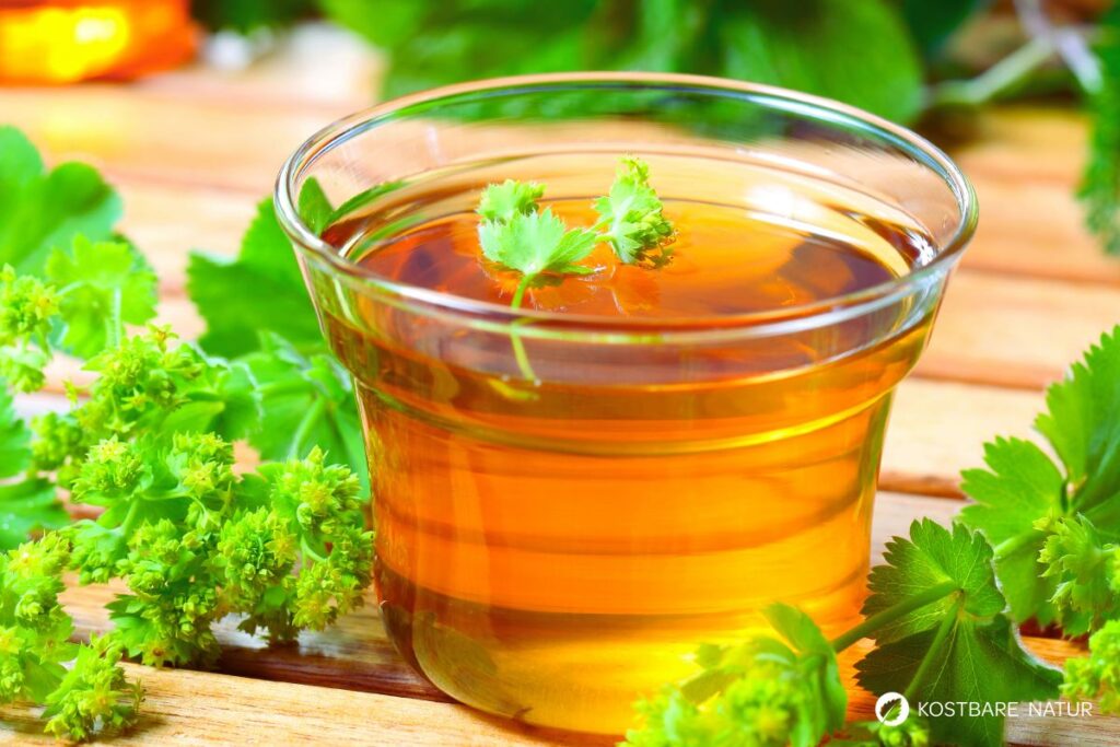 Frauenmanteltee im Glas