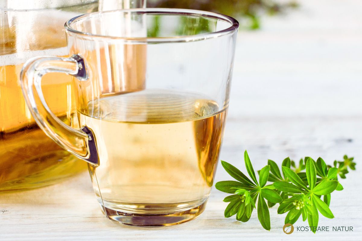 Rezept f&uuml;r Maibowle mit echtem Waldmeister