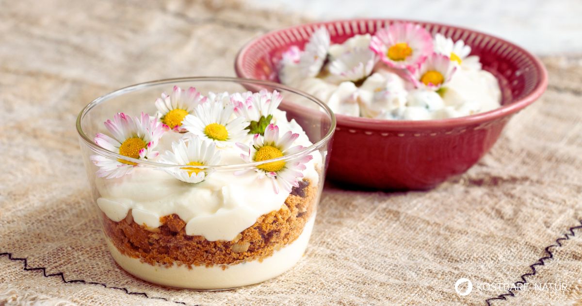 Süßer Gänseblümchen-Quark ist schnell und einfach zubereitet und eine köstliche Möglichkeit, die gesunden Blüten abwechslungsreich zu verwenden.