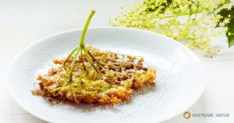 Mit diesem einfachen Rezept bereitest du schnell leckere Holunderblüten-Küchlein zu. Ein leckerer Frühjahrs-Snack für jeden Kaffeetisch.