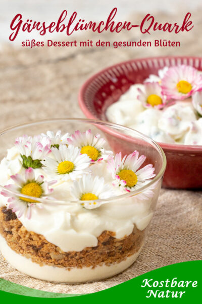 Süßer Gänseblümchen-Quark ist schnell und einfach zubereitet und eine köstliche Möglichkeit, die gesunden Blüten abwechslungsreich zu verwenden.