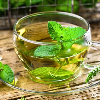 Die Pfefferminze ist eine beliebte Tee- und Gartenpflanze und ein bewahrtes Hausmittel gegen viele Beschwerden.