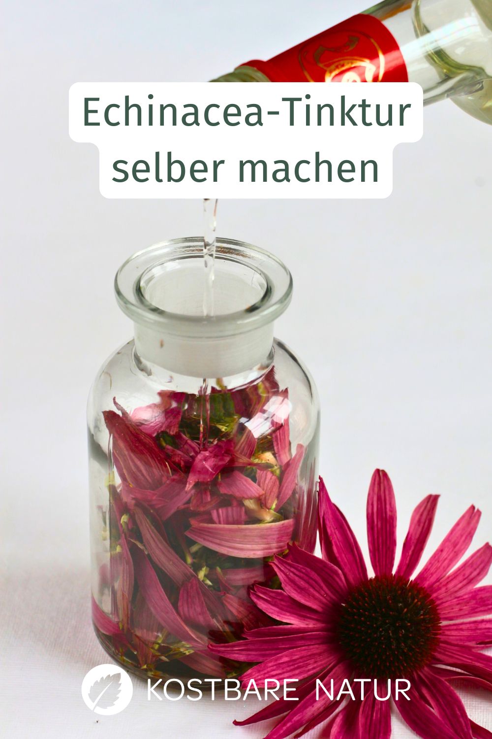 Um dein Immunsystem zu stärken und dich vor einer Erkältung zu schützen, kann eine Tinktur aus dem Roten Sonnenhut helfen.