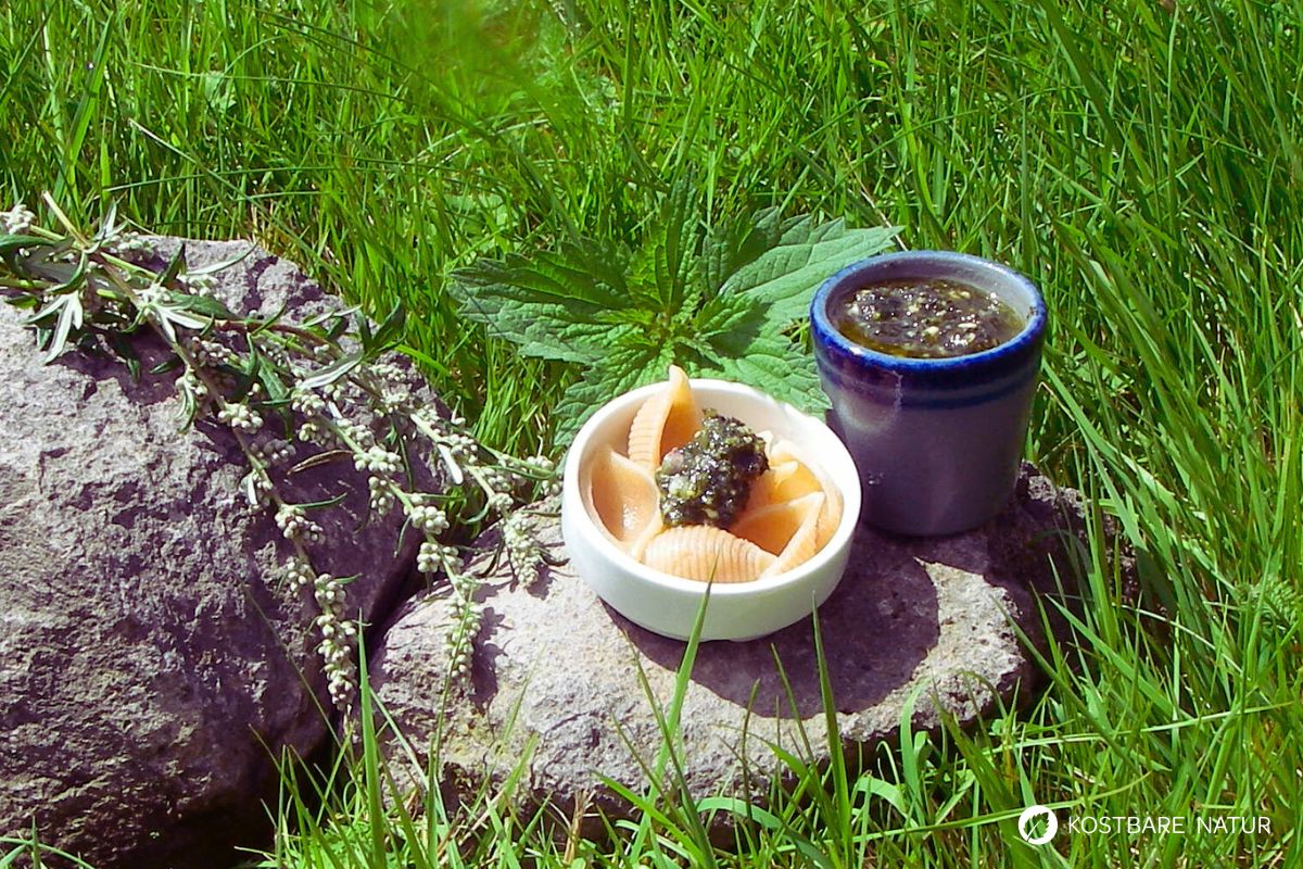 Gesundes Brennnessel-Beifuß-Pesto