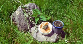 Pesto schmeckt nicht nur mit Bärlauch und Basilikum. Dieses Brennnessel-Beifuß-Pesto ist ebenso lecker und besonders gesund!