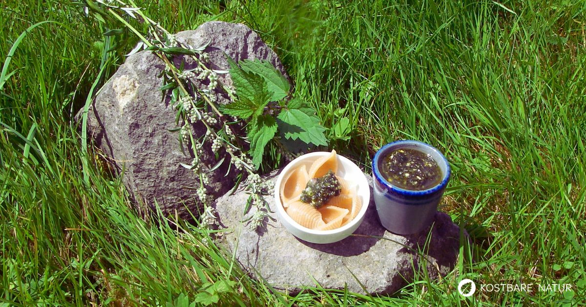 Pesto schmeckt nicht nur mit Bärlauch und Basilikum. Dieses Brennnessel-Beifuß-Pesto ist ebenso lecker und besonders gesund!