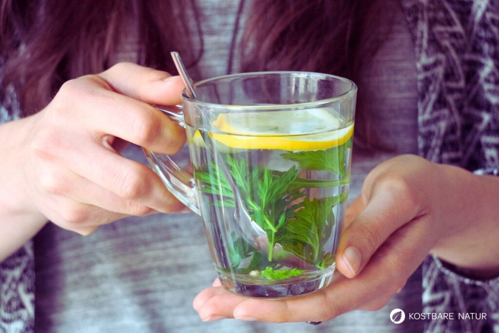 Gemeiner Beifuß (Artemisia vulgaris): Wirkung, Anwendung, Rezepte & Anbau – entdecke das alte Frauenkraut neu für Küche, Heilkunde & Garten.