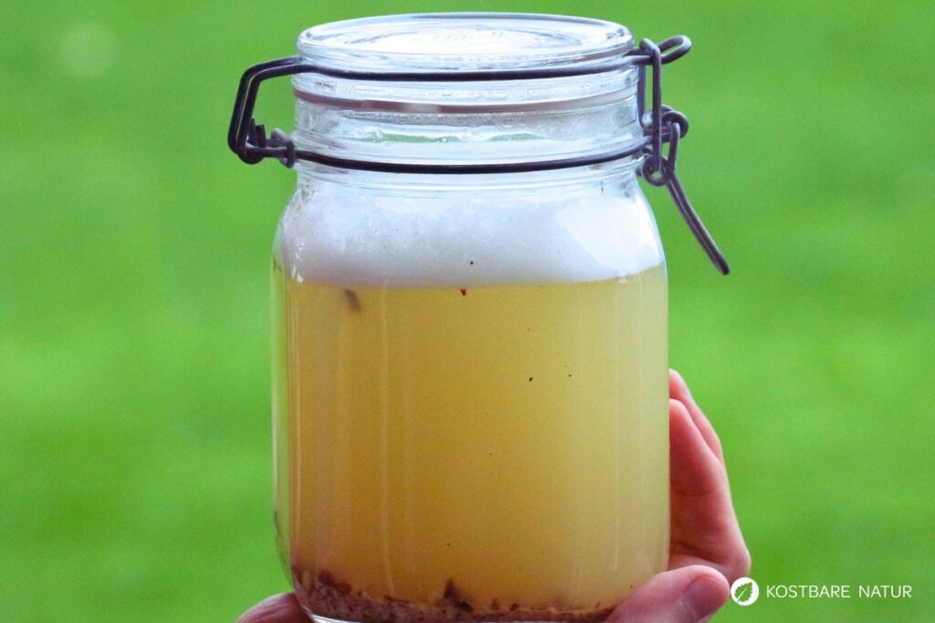 Kastanien-Waschmittel im Glas