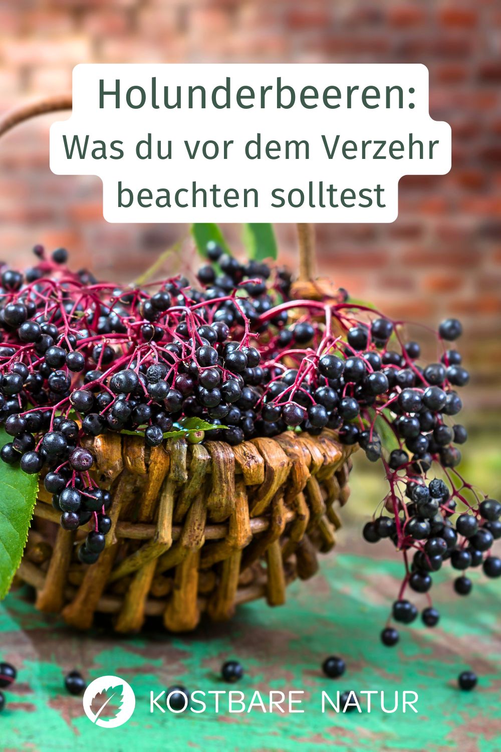 Sind Holunderbeeren giftig? Wenn du sie nicht verarbeitest, ja! In diesem Artikel erfährst du, was du beachten solltest.