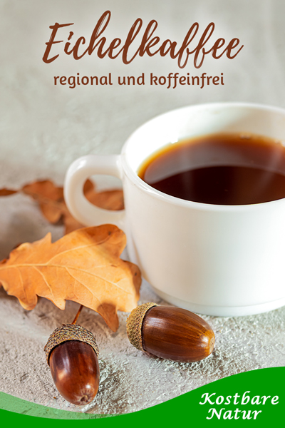 Die Früchte der Eiche lassen sich nicht nur zum Basteln verwenden, sondern auch für ein herbstliches Heißgetränk: Eichelkaffee ist regional und koffeinfrei.