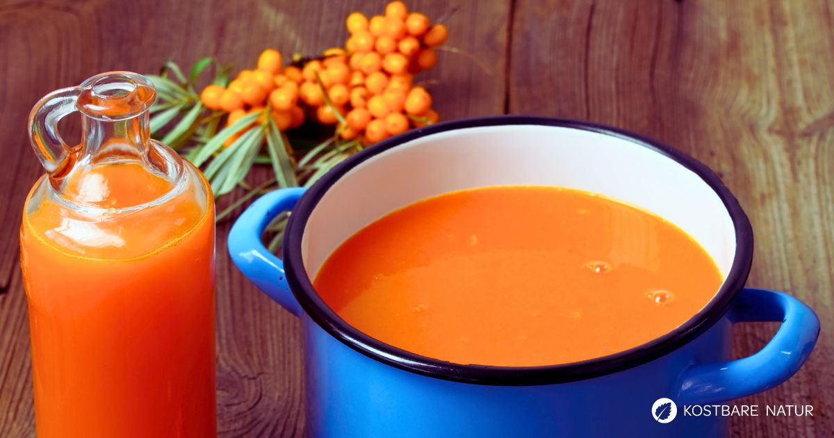 Immer nur Kürbissuppe im Herbst? Mit dieser Sanddorn-Karottensuppe bringst du vitaminreiche Abwechslung auf den Mittagstisch!