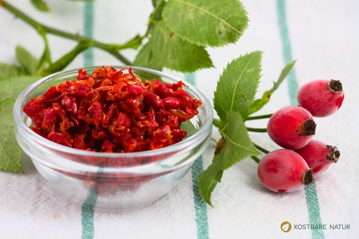 Hagebuttenschalen in Schüssel