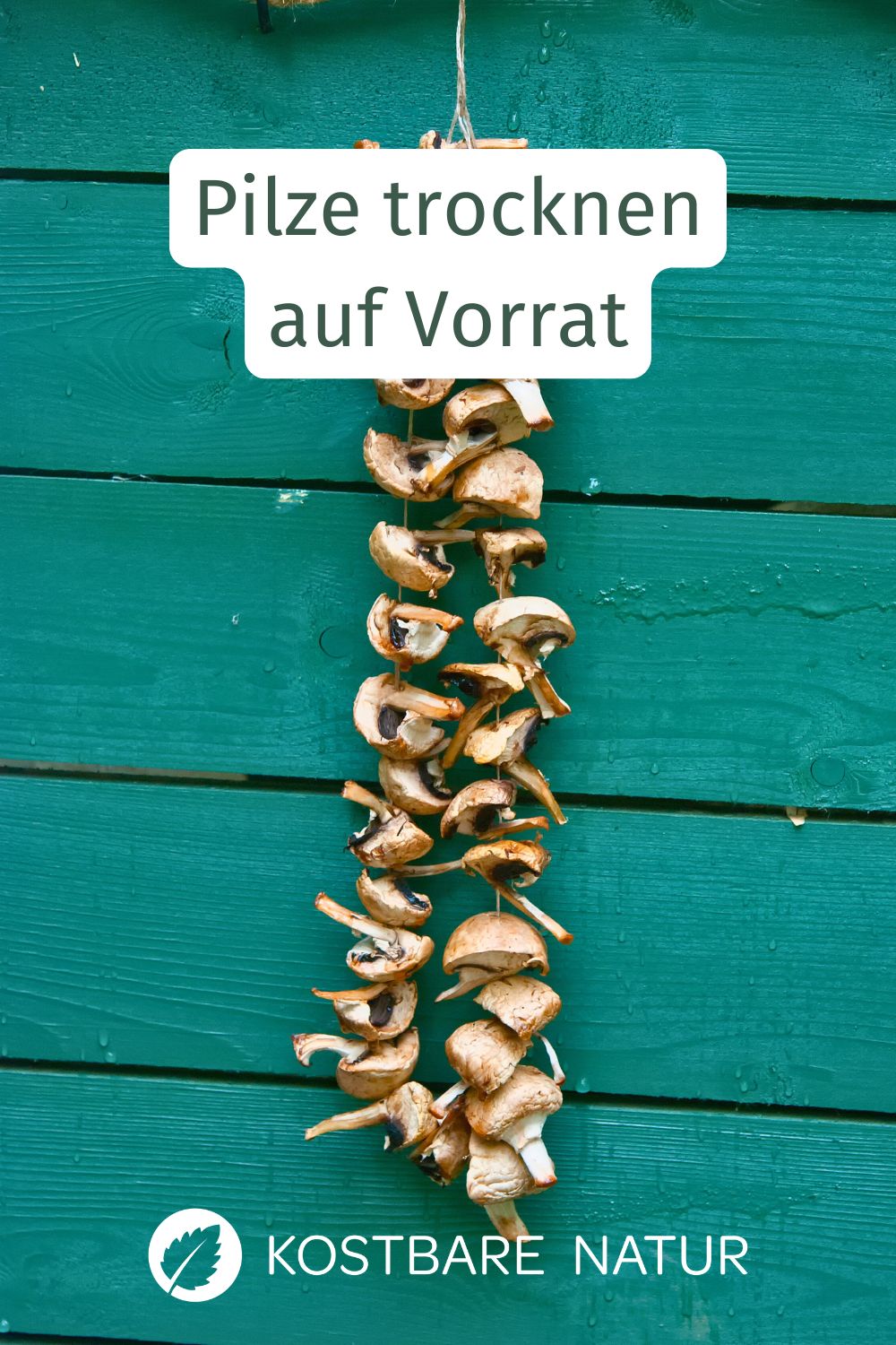 Pilze trocknen, ist eine wunderbare Methode, selbst gesammelte Waldpilz-Schätze haltbar zu machen. Wie einfach das geht, erfährst du hier.