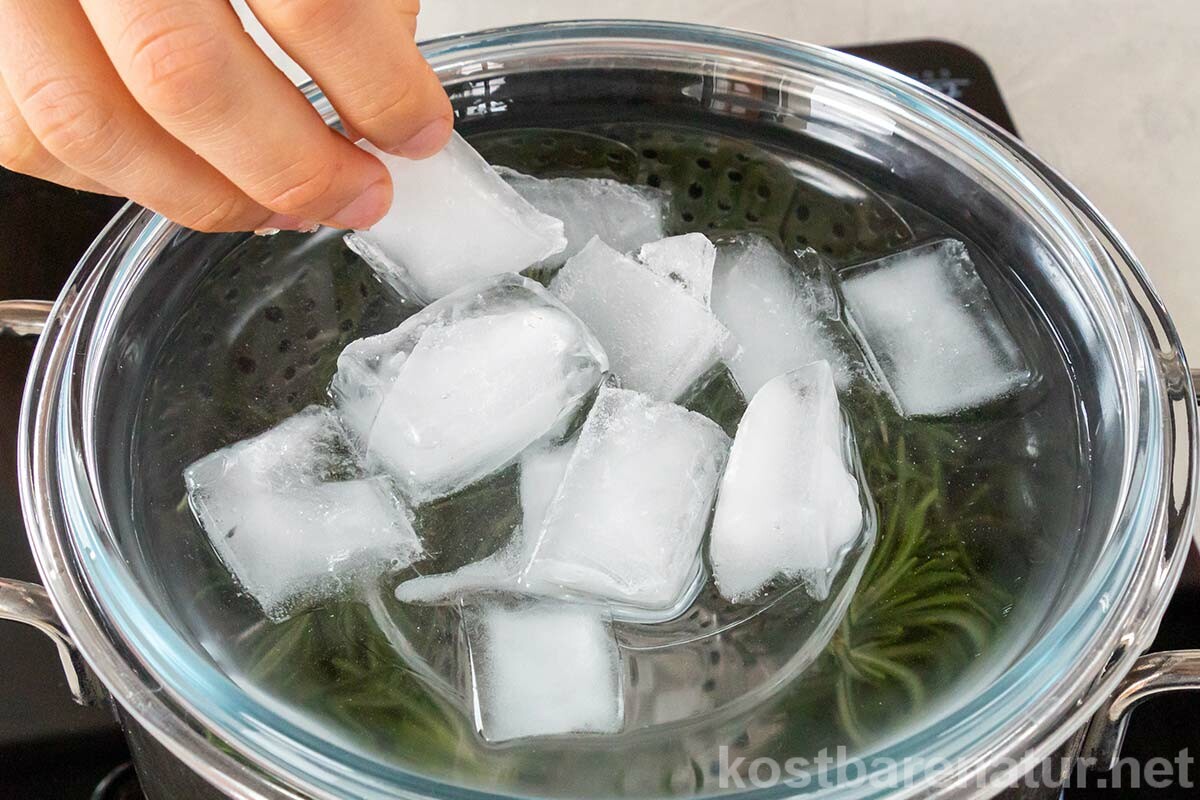 Hydrolate herstellen – geht das zu Hause? Na klar! Um heilende Pflanzenwässer zu gewinnen, brauchst du kein teures Zubehör. Hier erfährst du, wie es geht.