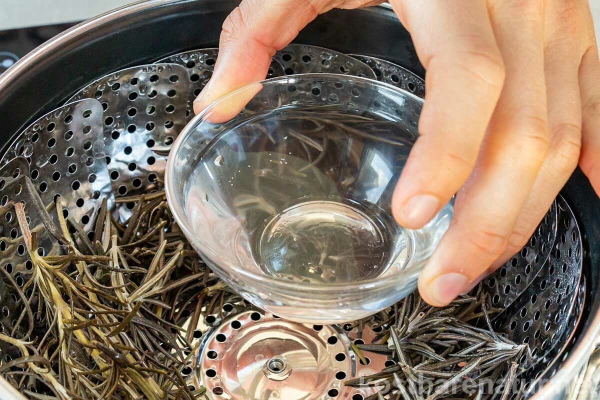 Hydrolate herstellen – geht das zu Hause? Na klar! Um heilende Pflanzenwässer zu gewinnen, brauchst du kein teures Zubehör. Hier erfährst du, wie es geht.