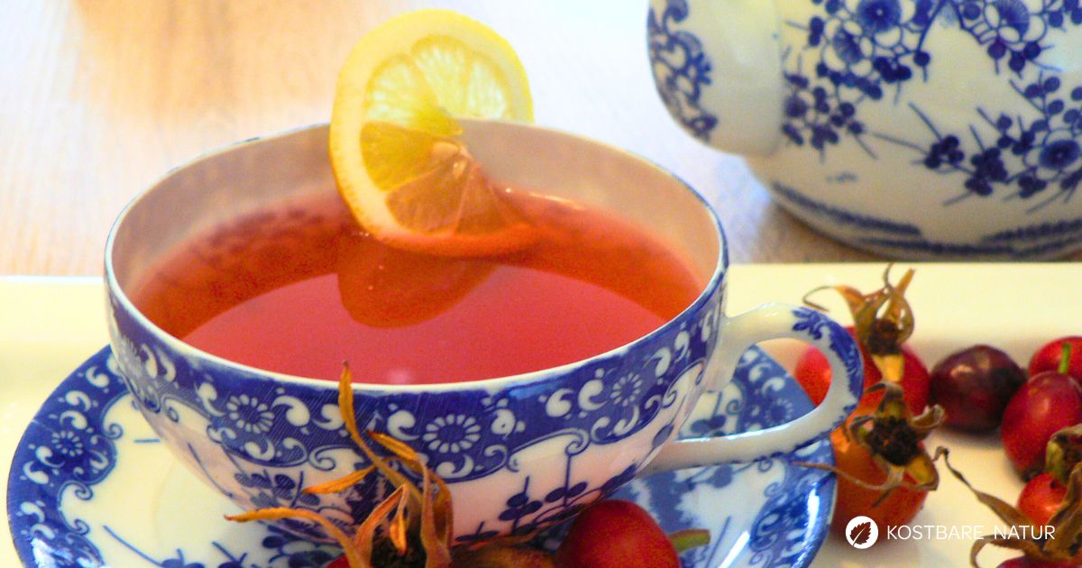 Mit den gesunden Früchten der Hundsrose lässt sich schnell ein wärmender Winterpunsch herstellen! Optional mit oder ohne Alkohol.