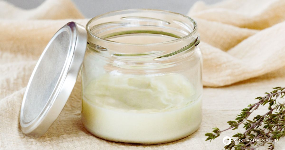 Eine Erkältungssalbe aus Thymian lässt sich einfach selber machen und ist sowohl für Kinder, als auch Erwachsene geeignet.