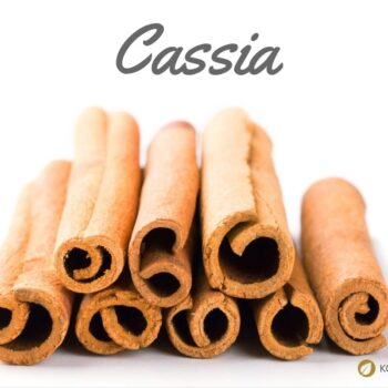 Zimt – aromatische Rinde mit langer Tradition in Küche und Gesundheit. Erfahre Herkunft, Wirkungen, Rezepte und Anwendungen.