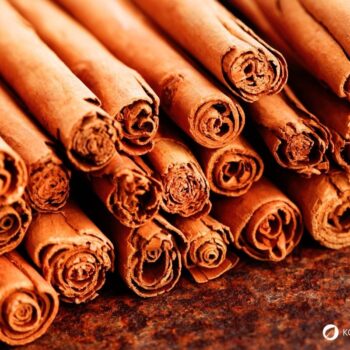 Zimt – aromatische Rinde mit langer Tradition in Küche und Gesundheit. Erfahre Herkunft, Wirkungen, Rezepte und Anwendungen.