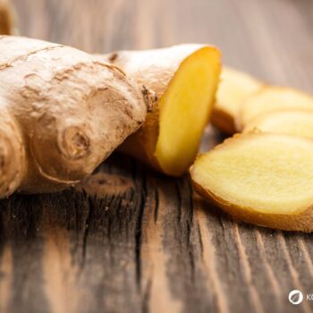 Ingwer: Wirkung, Anwendung und Anbau der gesunden Wurzel. Alles über Heilkraft, Ernährung, Hausmittel & Tipps zur Kultivierung im eigenen Garten.