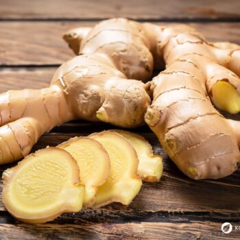 Ingwer: Wirkung, Anwendung und Anbau der gesunden Wurzel. Alles über Heilkraft, Ernährung, Hausmittel & Tipps zur Kultivierung im eigenen Garten.