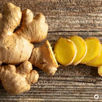 Ingwer: Wirkung, Anwendung und Anbau der gesunden Wurzel. Alles über Heilkraft, Ernährung, Hausmittel & Tipps zur Kultivierung im eigenen Garten.