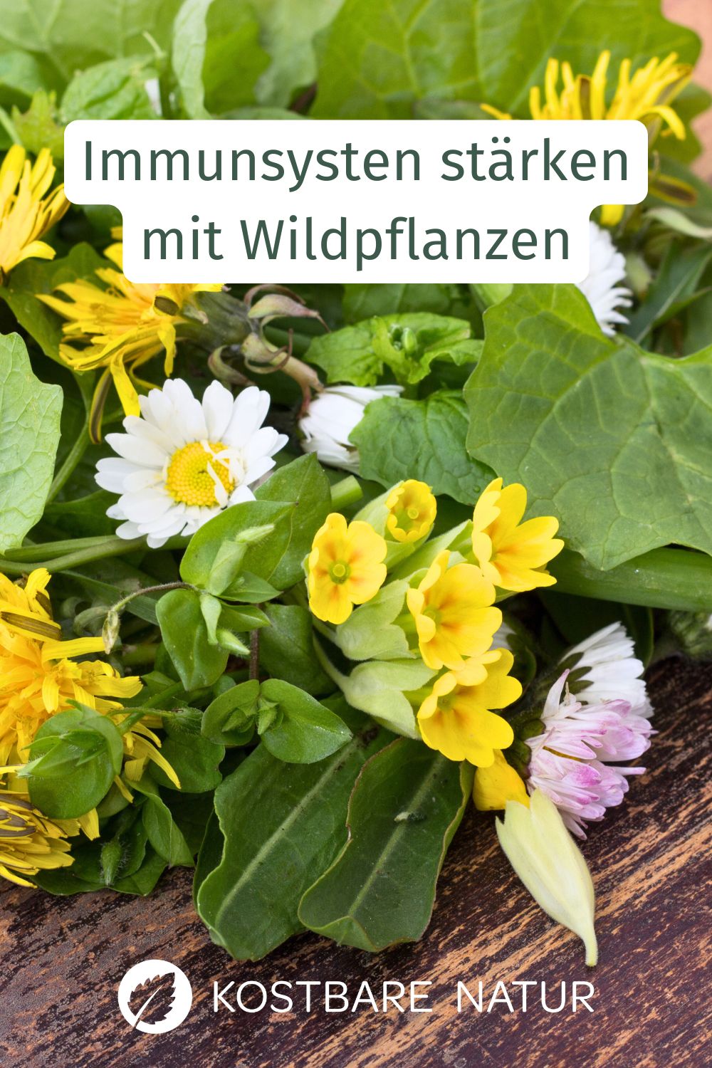 Diese 10 wilde Pflanzen und Kräuter für dein Immunsystem stärken dich von innen und machen dich bereit für die kalte Jahreszeit.