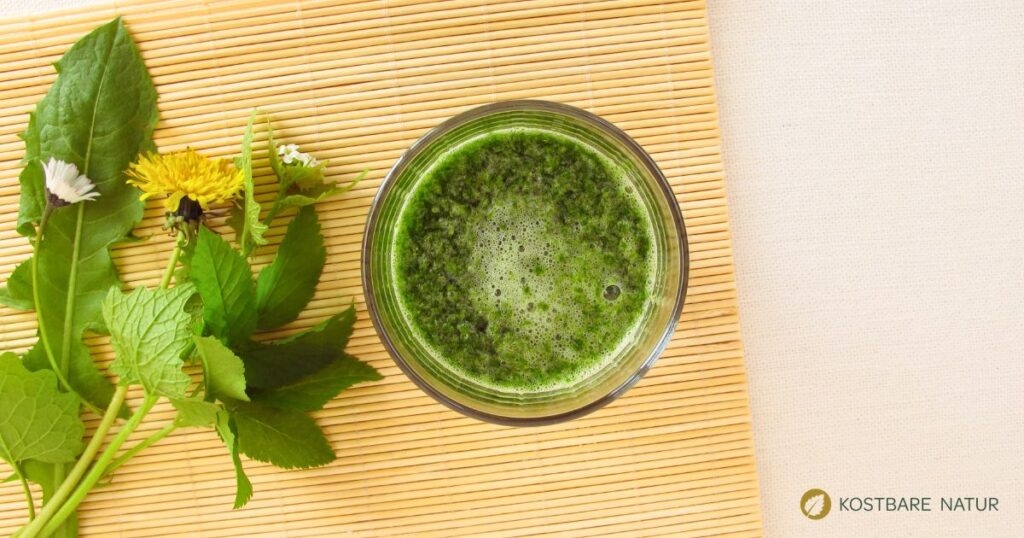 Mit grünen Smoothies kann man leicht und lecker täglich mehr Gemüse essen. Wildkräuter machen sie noch gesünder!