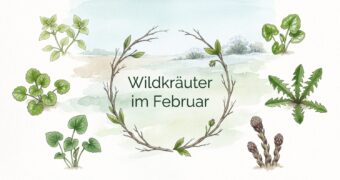 Finde heraus, welche Wildkräuter, Wildfrüchte und andere Schätze du zur Zeit finden und wie du sie in der Küche und für die Gesundheit nutzen kannst!