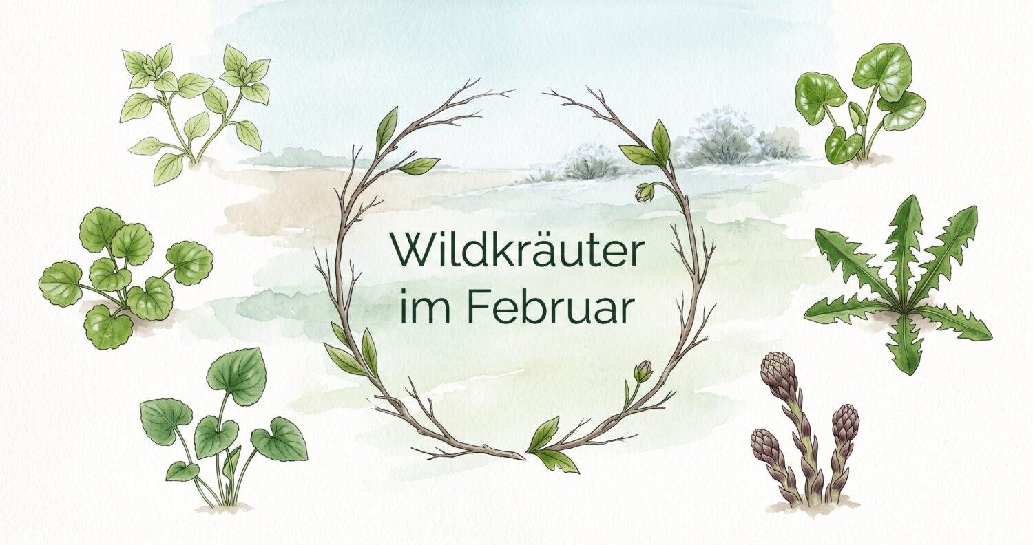 Finde heraus, welche Wildkräuter, Wildfrüchte und andere Schätze du zur Zeit finden und wie du sie in der Küche und für die Gesundheit nutzen kannst!